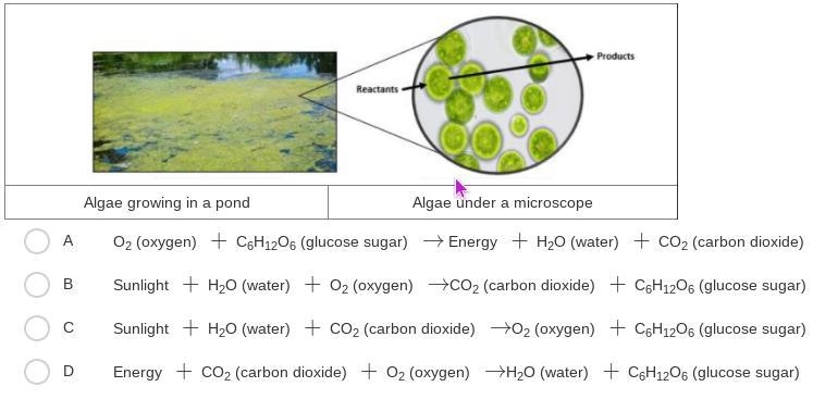 Living organisms need energy to carry on their life processes. Photosynthesis is a-example-1