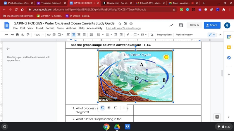 What process is shown by letter A in the diagram-example-1