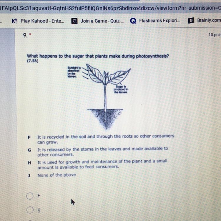 What happens to the sugar that plants make during photosynthesis? 문 F It is recycled-example-1