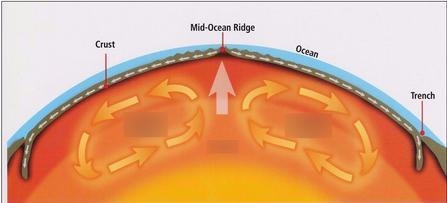 The Earth’s crust is divided into large sections like puzzle pieces called plates-example-1