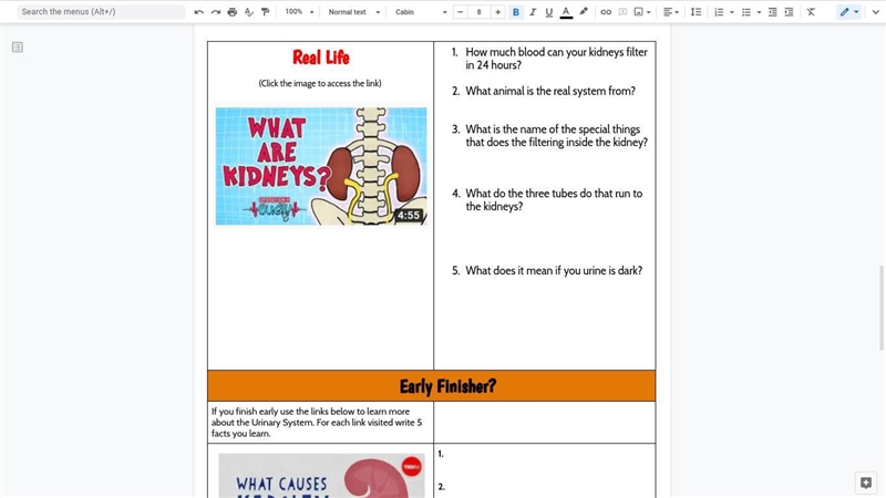 HELP WITH THIS EASY SCIENCE WORK-example-3