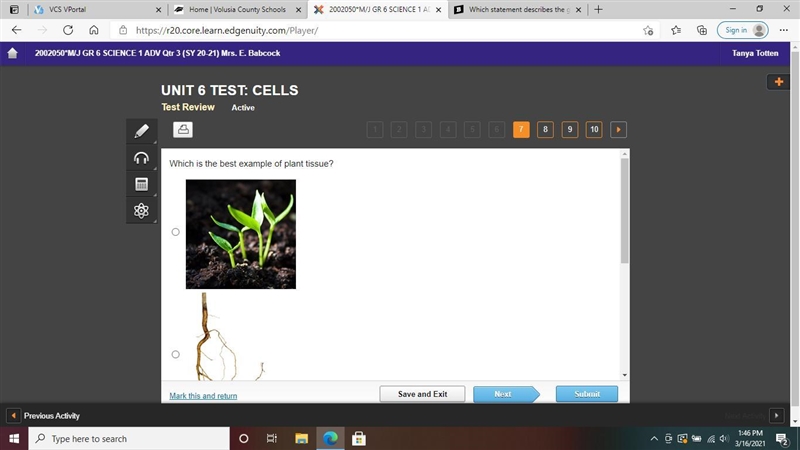 Which is the best example of plant tissue? A: B: C: D: (Please look at the pictures-example-1