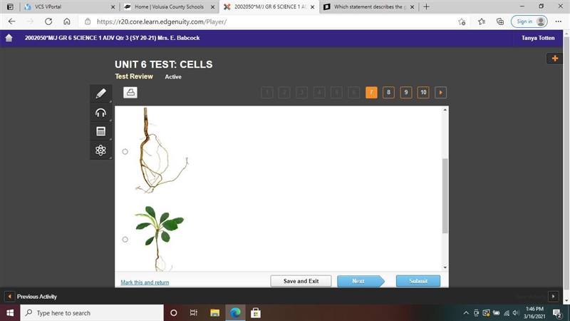 Which is the best example of plant tissue? A: B: C: D: (Please look at the pictures-example-2