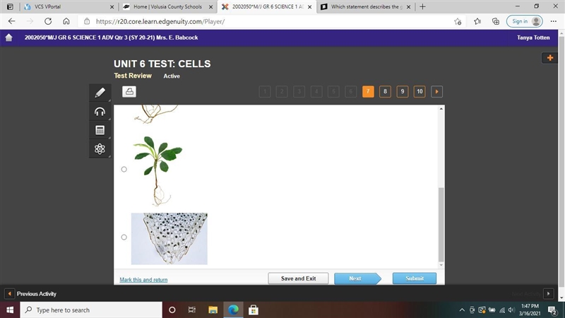 Which is the best example of plant tissue? A: B: C: D: (Please look at the pictures-example-3