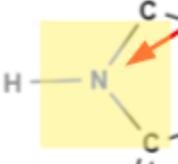 How many lone pairs of electrons should the nitrogen have?-example-1