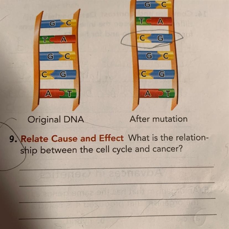 Someone please help with number 9.-example-1