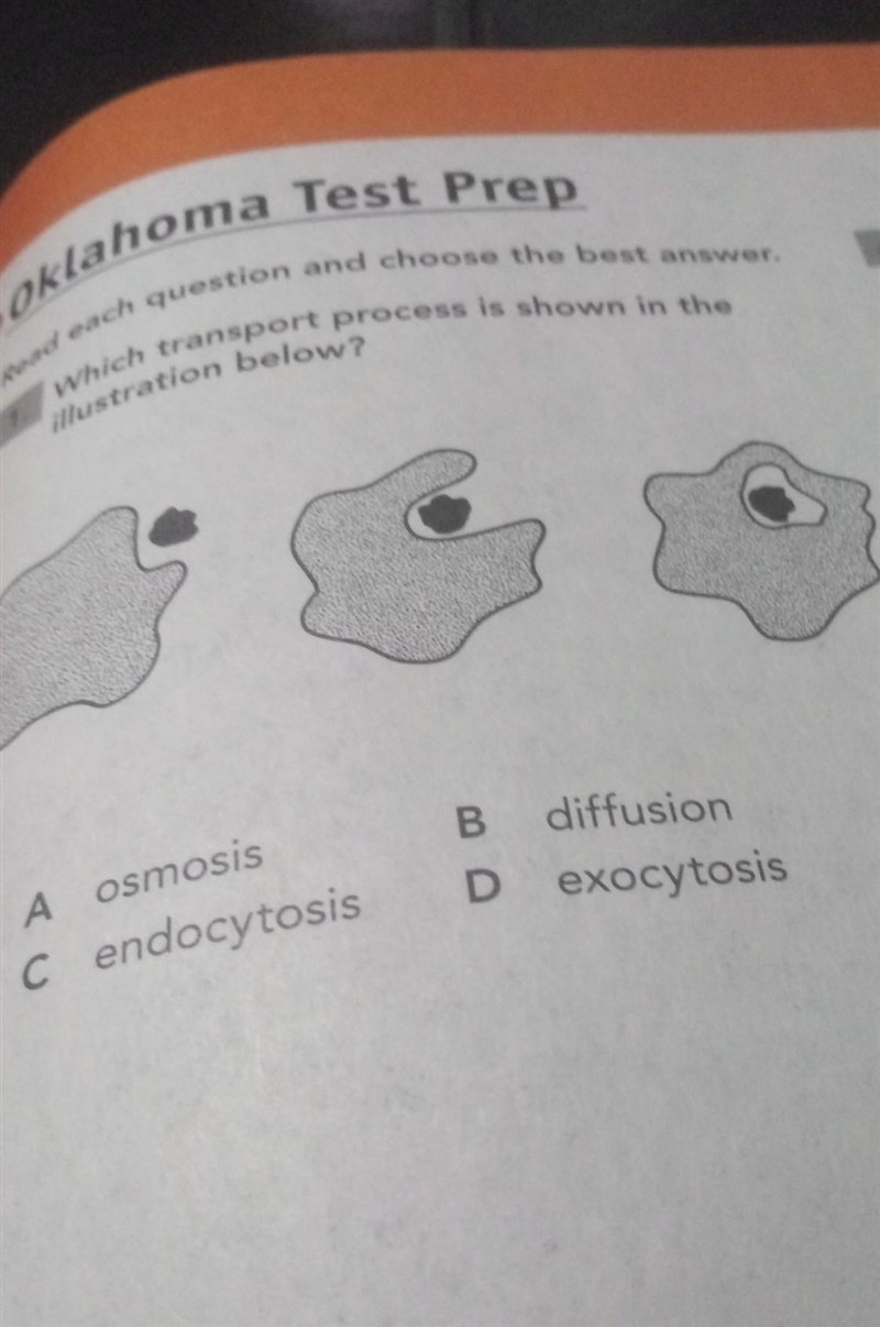 I really need help with this​-example-1