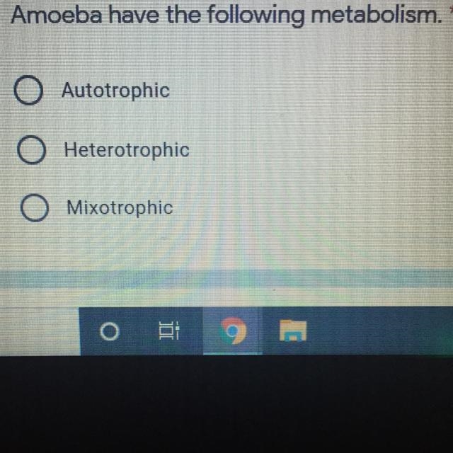 Amoeba have the following metabolism. A. Autotrophic-example-1