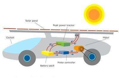 Label with at least four types of energy (where does the energy flow and how)-example-1