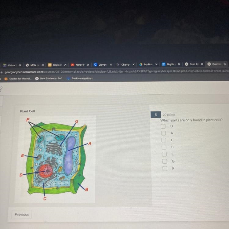 Plant Cell 5 F G 20 points Which parts are only found in plant cells? D А С -A E m-example-1