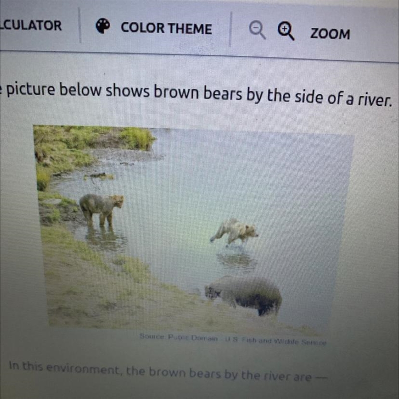 The picture below shows brown bears by the side of a river. In this environment, the-example-1