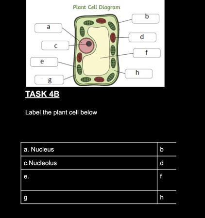 Can someone please answer this it’s due today please-example-1