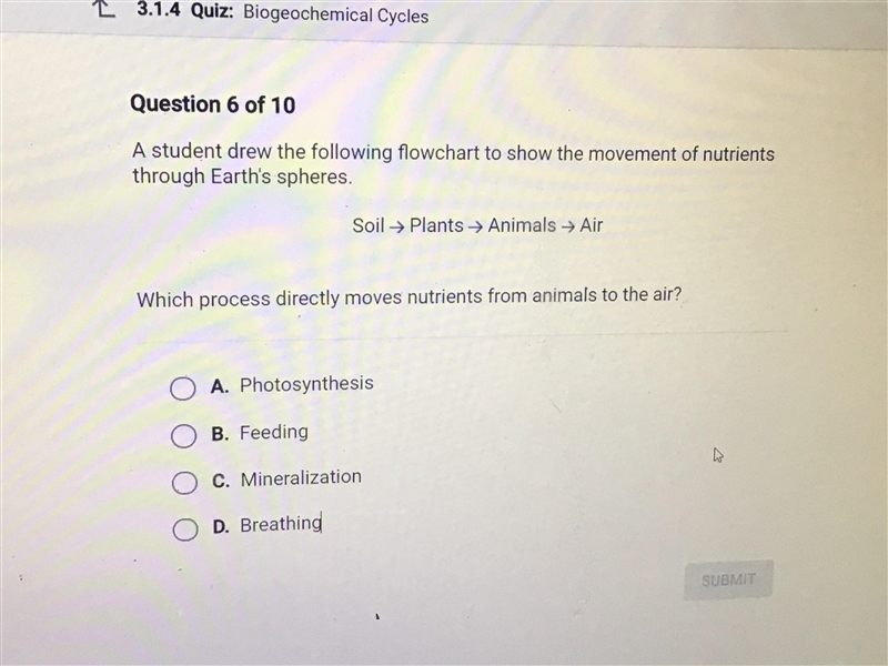 Which process directly moves nutrients from animals to the air?-example-1