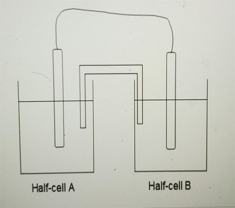 If magnesium and nickel were used as electrodes to construct an electrochemical cell-example-1