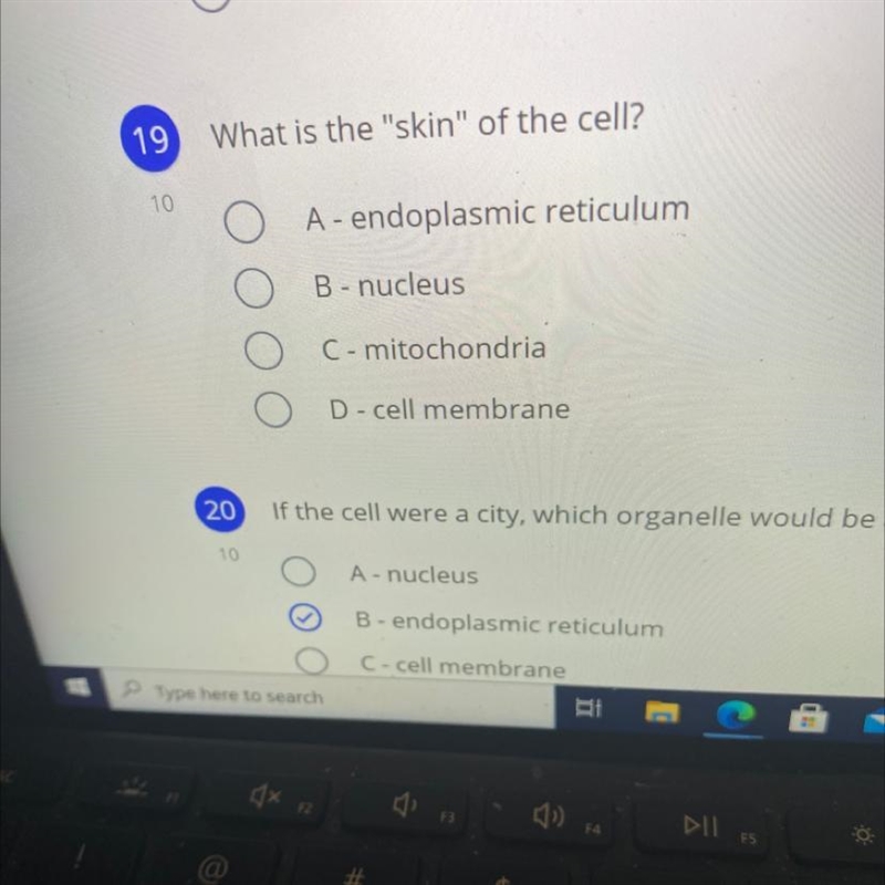 19 What is the "skin" of the cell?-example-1