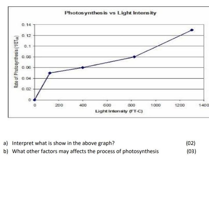 Can someone help me with these both questions ​-example-1