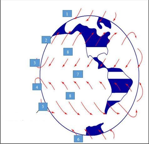 Using the diagram below, which global winds are moving at points 1 and 6? Question-example-1