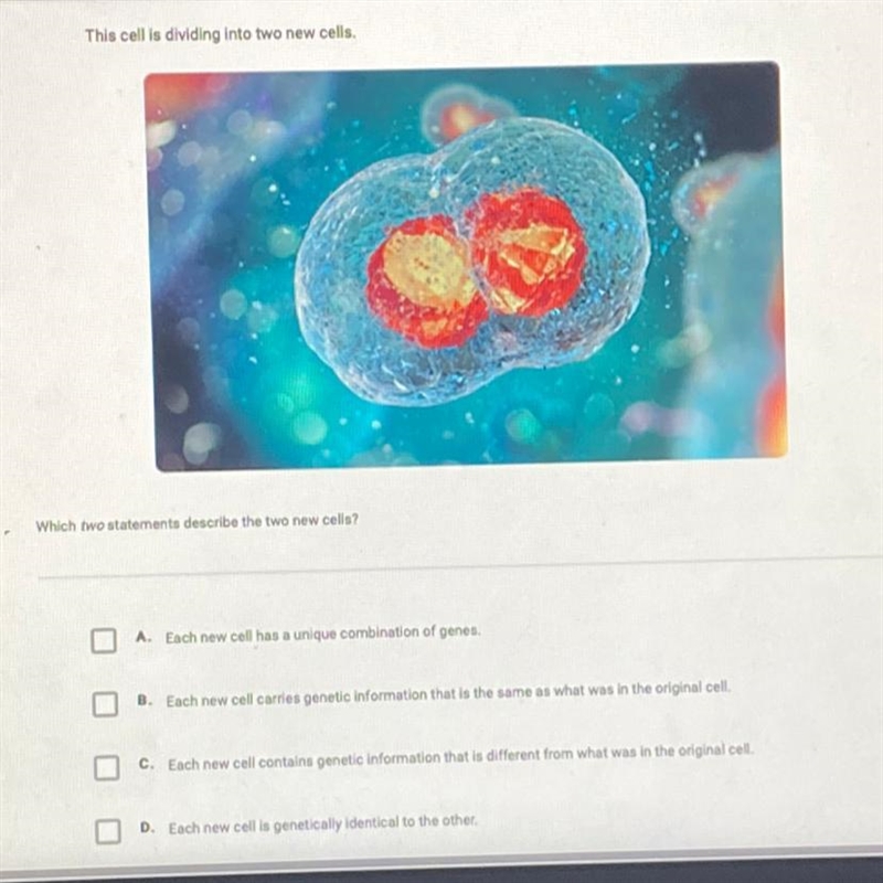 This cell is dividing into two cells.-example-1