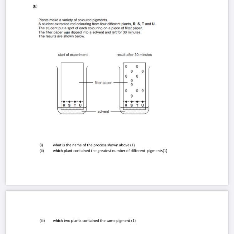 Plz send me the answer-example-1