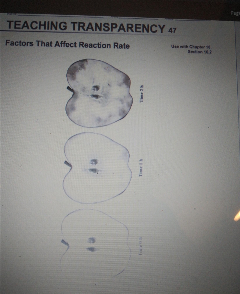 1. look at the sequence of pictures what happened to the Apple overtime. 2. no chemical-example-1