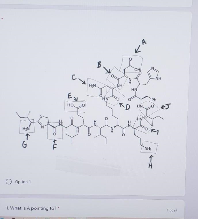 What Is A,b,c,d,e,f,g,h,i,and j pointing to? available answers carboxylic acid nitrile-example-1