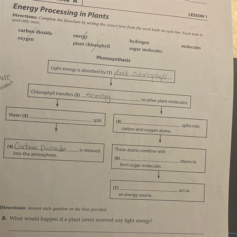 ___ act as an energy source? (From work bank)-example-1