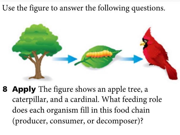 Can y’all help me with this science question plz-example-1