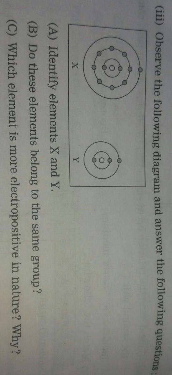 (iii) Observe the following diagram and answer the following questions : X Х Y (A-example-1