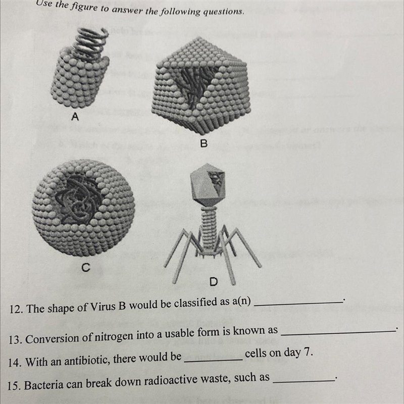 Use the figure to answer the following questions. A B. с 12. The shape of Virus B-example-1