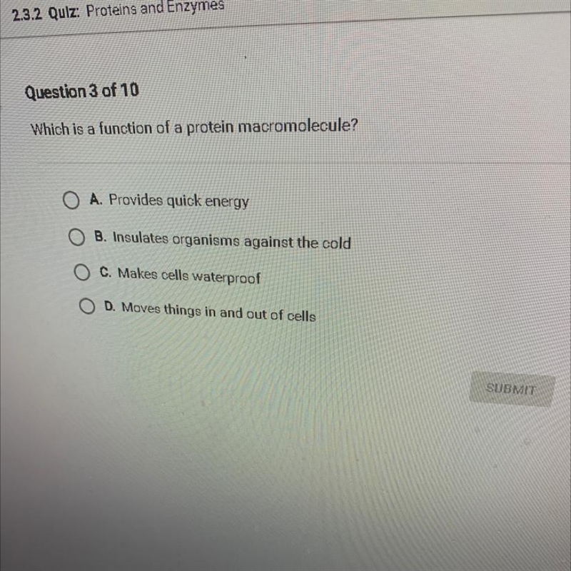 Which is the function of protein macromolecule?-example-1