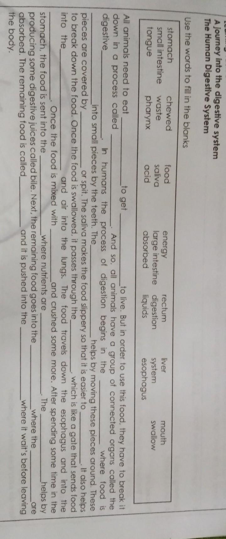 Need help with my science PLESE answer-example-1