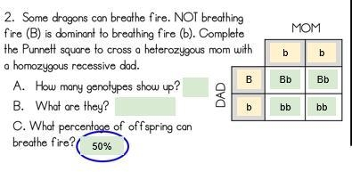 More Punnett Squares.-example-1
