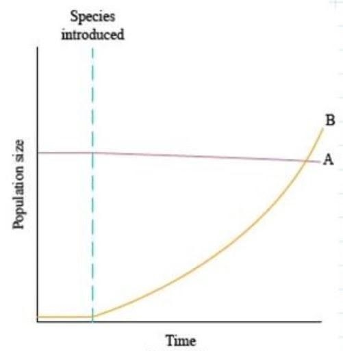 Which ecological relationship is best represented by this graph? Note: Species A's-example-1