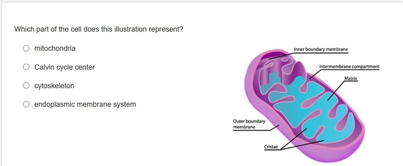 Please help me with this one-example-1