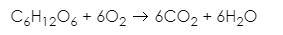 This formula shows the chemical reaction that occurs when the body breaks down sugar-example-1