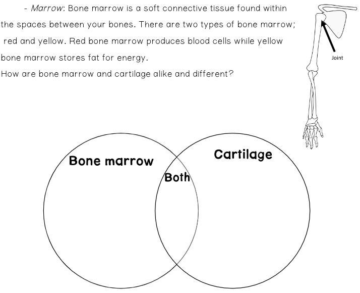 Please help me fill this ven diagram in its very simple I just need help-example-1