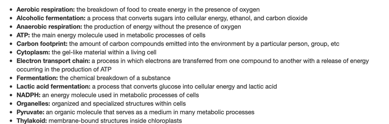 Match the term with its description. answer choices Aerobic respiration Alcoholic-example-2