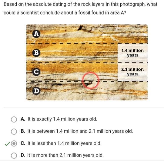 based on the absolute dating of the rock layers in this Photograph what could a scientist-example-1