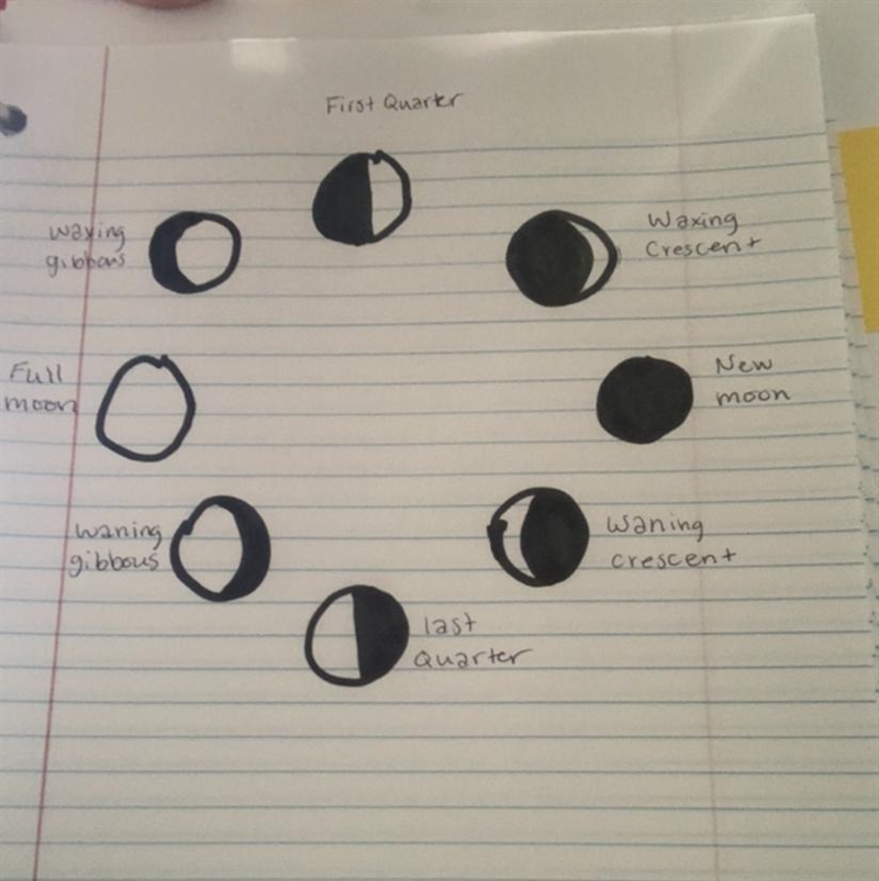 Make a 29 day timeline. Along the timeline draw and label the phases of the Moon starting-example-1