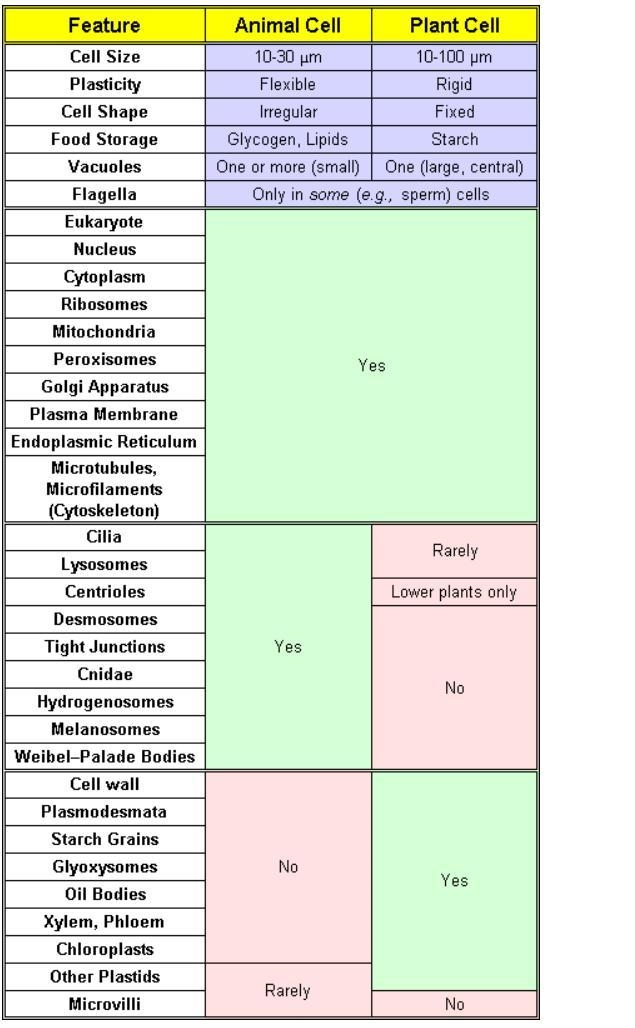 I need help, thankyou. List 5 things how Prokaryotic cell and Eukaryotic cell are-example-1