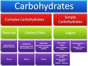 Plan and create a model of complex carbohydrate that shows the relationship between-example-1