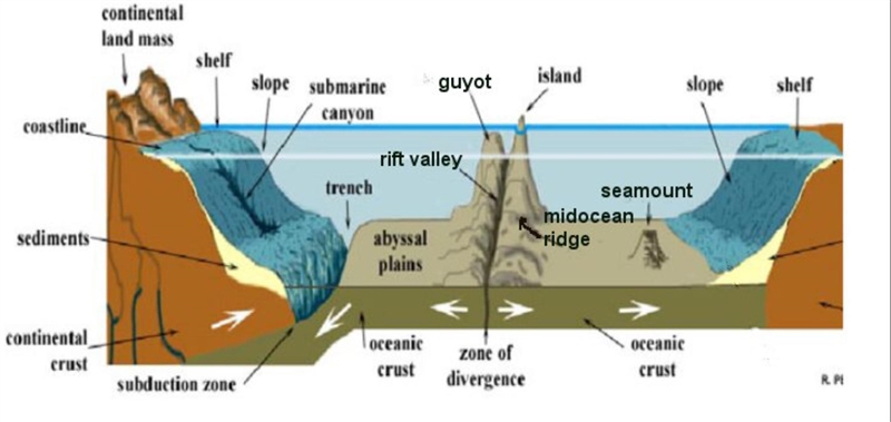 PLEASE HELP! The diagram below represents geographical features found in the ocean-example-1