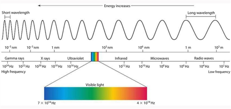 PLS HELP ASAP Describe how the wavelengths of energy is organized on the spectrum-example-1