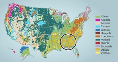 Which best describes the soils found in the southeastern United States? frozen sandy-example-1