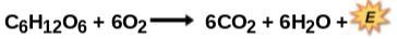 Is this formula balanced as written? Why or not? Explain please-example-1