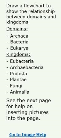 can someone help me make a flowchart between domains and kingdoms use paper or a online-example-1