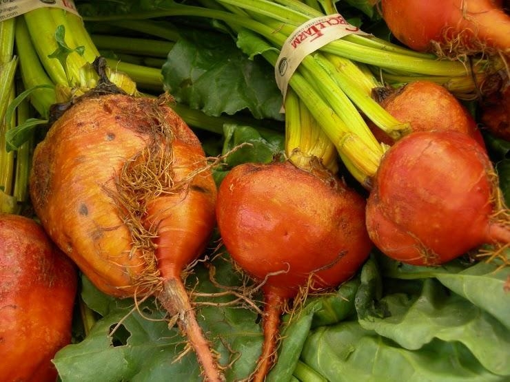 Carrots and beets are roots. They are sweet due to sugar. How is this an adaptation-example-1