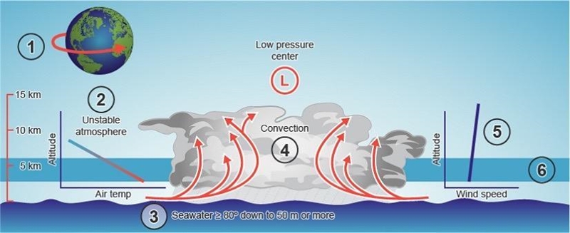 Study the diagram. What is forming in the diagram? a front a hurricane a thunderstorm-example-1