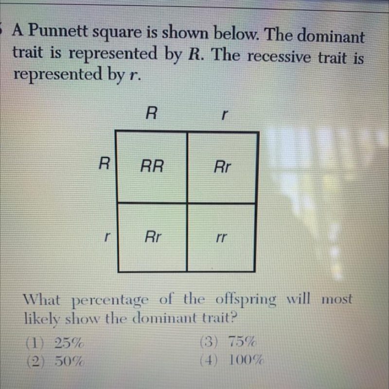 5 A Punnett square is shown below. The domin trait is represented by R. The recessive-example-1