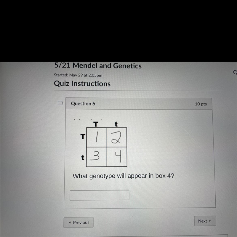 What genotype will appear in box 4?-example-1